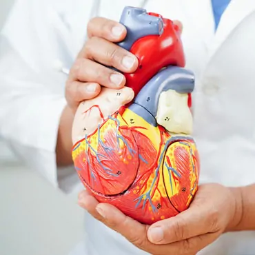 Heart Ailment Package
