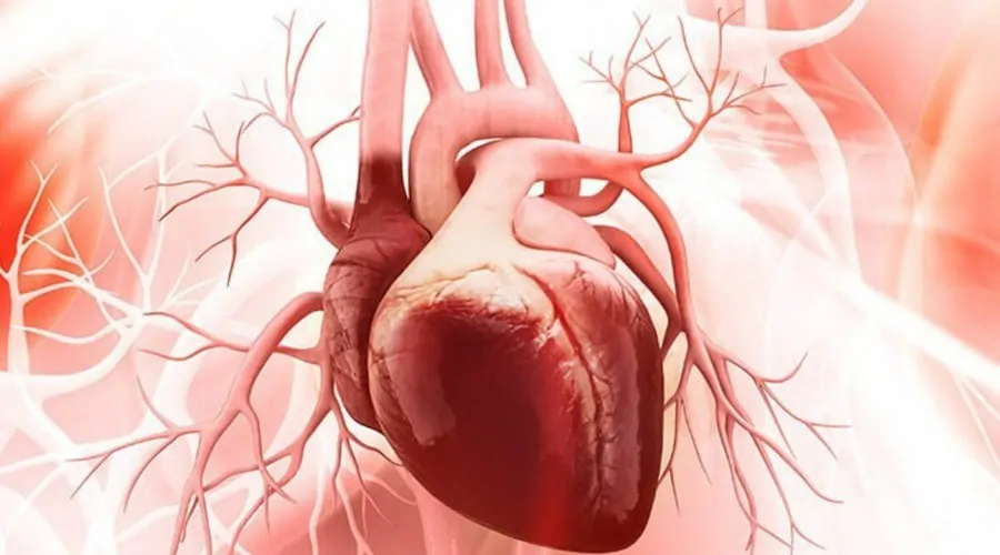 Heart Ailment Package